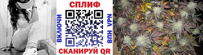 купить  цена  Кохма  сайты даркнета состав  Шишки марихуана гибрид 